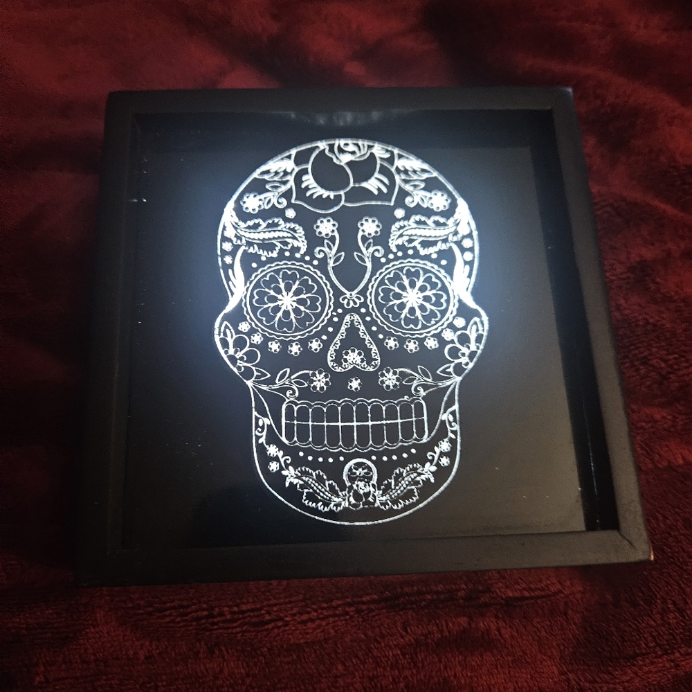 Light Up Skull Decor